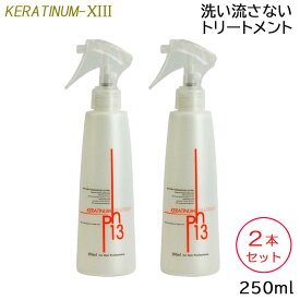 (2本セット) ケラチナムサーティーン 13 プロ 250ml スプレーボトル 洗い流さないトリートメント アウトバス ダメージケア サロン専売品 美容室 ケラチン ヘアケア (送料無料) (asr)