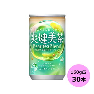 �u������ 160g×30�{ ��