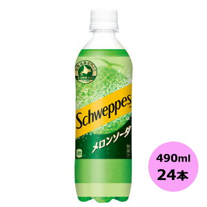 VEFbvX \[_ 490mlPET×24{@kC RJER[iȊO s yDzyTCYEz 3980~ȏ㑗 ΏۊOi