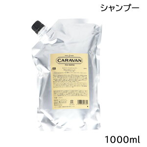 /XSiP5{!X[p[SALEԒIvGg[/f~ DEMI Lo }ChVv[ 1000ml lߑւ jp ()