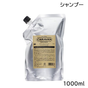 f~ DEMI Lo tbVVv[ 1000ml lߑւ jp ()
