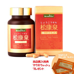 N 100JvZ  Tvg N⏕Hi () wT }EXEHbVv[g!(asr) (500~OFFN[|zz@wヌr[Lڂ)