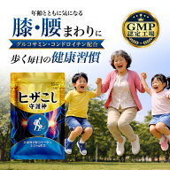 【公式】 ヒザこし守護神 グルコサミン サプリ 15粒 コンドロイチン プロテオグリカン MSM 非変性II型コ…