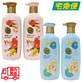 【東京都から発送】Rien 白檀香/沈丁花 シャンプー&コンディショナーセット 500ml×2 [リエン ビャクダン ジンチョウゲ ヘアケア 韓国コスメ 並行輸入品]