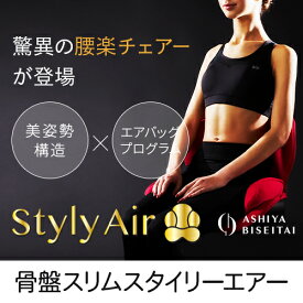 【ブランド公式＆送料無料】芦屋美整体 骨盤スリムスタイリーエアー　テレワーク　エアマッサージャー 骨盤サポート ヒーター内蔵 座椅子 骨盤スリム　バゲット　ポシュレ　じゅん散歩