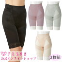 【ブランド公式＆送料無料】芦屋美整体 骨盤スリムスタイルショーツ 2枚組(3分丈) 補正下着 骨盤補正 骨盤矯正 整体 骨盤ショーツ スリムショーツ 芦屋美整体骨盤ショーツ ダイエット