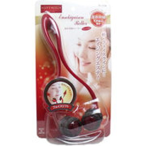 tg[W ԊO[[ tFCXp 1 y[[@z