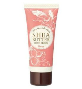 ̖ VAo^[ nhN[ 20g [Y@ynhPAz