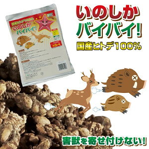 y[։\zYqgf100 ̂oCoCI@300g@ yC_C@CmVV΍@΍@΍@Qb΍z