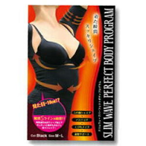 y[։\i2_܂ŁjzXEF[u@p[tFNg{fBvO ySLIM WAVE PERFECT BODY PROGRAM  ̘r oXg т  Ci[ ␳  ␳Ci[ EGXg X