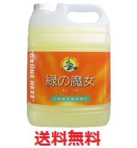 ΂̖@oXp܁@Ɩp@5L yp t̕Cp   oCI  rpCv pCvN[i[z