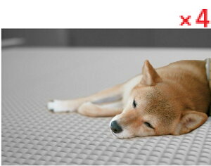 y4Zbgzybgׂ̈̂h}bg@INAM-01@60cm×90cm GY@yaOrA@ybgpi@ybgObYLOTZz