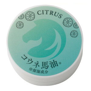 y[։\i6_܂ŁjzTN[iVgX̍j@y狻t@[ @RElnN[@{fBN[@XLPA@{fBPA@e@{RXz