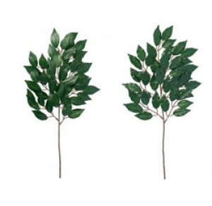 _Ip 1007894 yACfBA@Ԃ̍ ԍz