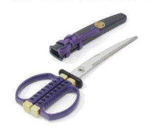 y[։\i3_܂Łjz{͂݁@ƍNf@y{nT~z