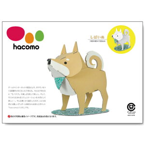 hacomo kids V[Y ΂ _{[HLbg@ynR@Aj}@R@CeA@Vс@@Hsv@eq@ǂ@q@qǂ@LbYz