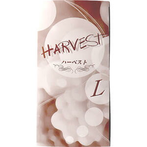 ƖpRh[@n[xXg@Cȃh@LTCY@144@y{Rh[@Dz