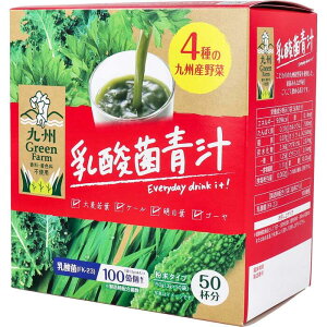 九州Green Farm 乳酸菌青汁 粉末タイプ 3g×50袋入 【新日配薬品 九州グリーンファーム 九州産 国産青汁 日本産青汁 栄養補助食品 サプリメント 健康食品 健康ドリンク ヘルシード