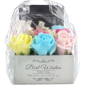 V{t[ MK-008 Jt@yCeA@ԁ@Ϗ܁@@@\[vt[@t[Mtg@킢@v`Mtg@蕨@t[{bNX@͂Ȃ@s