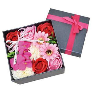 V{t[ KS-081 ubN@yCeA@ԁ@Ϗ܁@@@\[vt[@t[Mtg@킢@v`Mtg@蕨@{bNX@NAobOt@͂Ȃ@