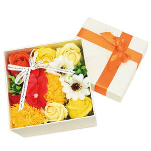 V{t[ KS-081 CG[@yCeA@ԁ@Ϗ܁@@@\[vt[@t[Mtg@킢@v`Mtg@蕨@{bNX@NAobOt@͂Ȃ@