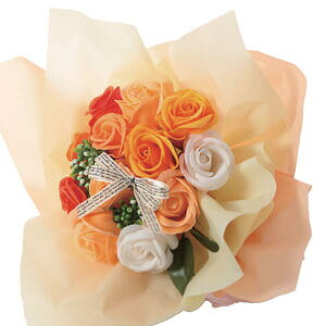 V{t[ SBL-11 CG[@yCeA@ԁ@Ϗ܁@@@\[vt[@t[Mtg@킢@v`Mtg@蕨@NAobO@͂Ȃ@s