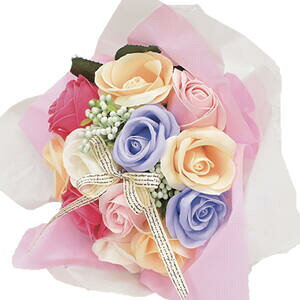 V{t[ SBL-11 AX@yCeA@ԁ@Ϗ܁@@@\[vt[@t[Mtg@킢@v`Mtg@蕨@NAobO@͂Ȃ@sv