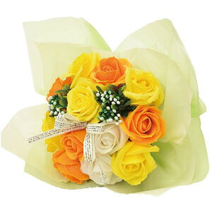 V{t[ SBL-11 @yCeA@ԁ@Ϗ܁@@@\[vt[@t[Mtg@킢@v`Mtg@蕨@NAobO@͂Ȃ@sv