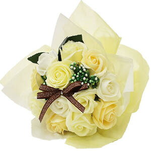 V{t[ SBL-11 x[W@yCeA@ԁ@Ϗ܁@@@\[vt[@t[Mtg@킢@v`Mtg@蕨@NAobO@͂Ȃ@s