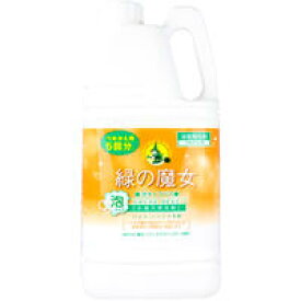 緑の魔女 泡タイプ バス 詰替用 2L　【浴室用洗剤　お風呂用洗剤 浴槽　環境浄化　バイオ　洗浄力　排水パイプ　パイプクリーナー】