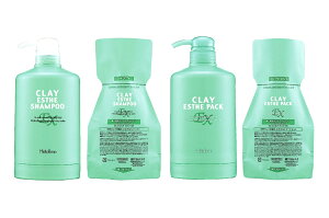 【計4点セット】【シャンプー+パック+各空容器】【500ml+500g】クレイエステ シャンプーEX 500ml パックEX 500g 各詰替用+空容器 セット販売 ビューティーエクスペリエンス (モルトベーネ) 【
