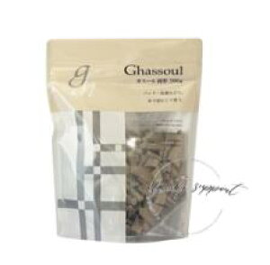 �i�C�A�[�h�@�K�X�[���Ō`�i500g�j