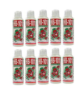 �y10�{�z�t���[�� HB-101�i100cc�j�@�y���������z