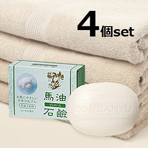 yzytz\o[nΌ qmL̍i85gj×4yj[Aiz