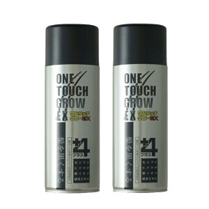 �y2�{�z�V�������@�����^�b�`�O���[EX+4�@200g�@2�{�Z�b�g�@�y���������z�@�����уX�v���[