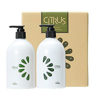 yz j[t[@VgXVv[RfBVi[ MtgZbg