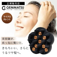 【正規販売店/送料無料/あす楽】G-ZERO COIL ジーゼロコイル マイクロカレント プロ シャンプーブラシ GH…