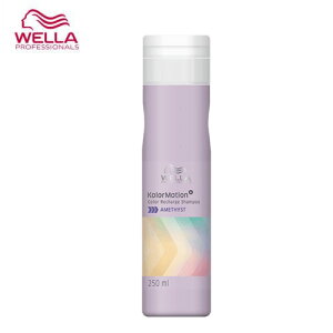 WELLA EG J[[V{ AWXg Vv[ 250ml J[Vv[ _[WPA J[L[v Tꔄ wAPA 