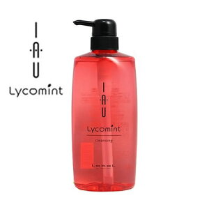 Lebel x CI R~g NWO 600ml yuzy~gACez ~g u ⊴ N[ g[ ėp X[X[ Ђ 2025 ⊴Vv[ uVv[ Vv