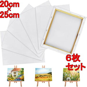 LoX 20*25cm 6/Zbg LoX{[h   ؐt[ ʉEGEG 
