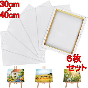 LoX30*40cm 6/Zbg LoX{[h   ؐt[ ʉEGEG 