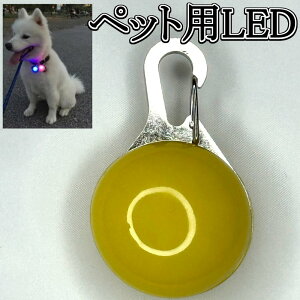  pANZT ̎US  LED  ^ ^ ^ L[z_[  (CG[)