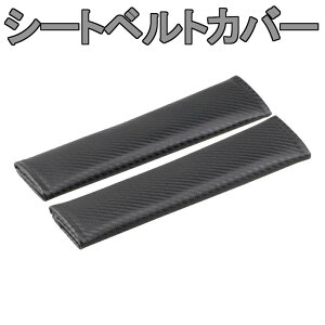 V[gxgJo[ 2{Zbg V[gxgpbh _炩fނŎƌی y tȒP