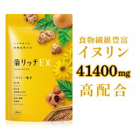 菊芋 イヌリン 高配合41400mg サラシア ナットウキナーゼ 麹菌 乳酸菌 国内産 30日分 厳選10種配合 菊リ…