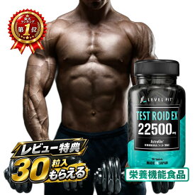 テストステロン サプリ テストロイドEX 30日分 栄養機能食品 テストフェン フェヌグリーク種子 アストラジン配合 ビタミンD 男性 活力 筋力 筋肉増強 更年期サポート メンズヘルス ホルモンバランス トレーニング 精力 バイタリティ 国産 日本製 LEVEL.FIT【送料無料】
