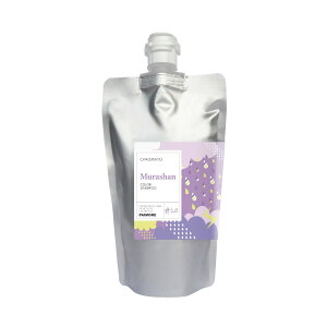 pCA N}g J[Vv[ V 300gySiňlɒz