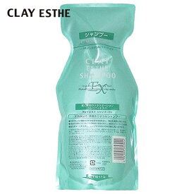 ビューティーエクスペリエンス クレイエステ シャンプーEX 1000ml 詰替え用 (美容室専売品 サロン専売品 シャンプー 詰め替え 美容院 おすすめ品 頭皮ケア 頭皮クレンジング ヘアケア shampoo モルトベーネ サロンシャンプー)