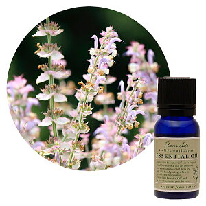 Flavor lifeit[o[Ctj N[Z[W 10ml ( GbZVIC A}IC  )