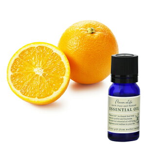 Flavor lifeit[o[Ctj XC[gIW10ml ( GbZVIC A}IC  )