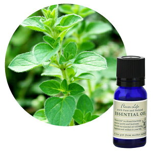 Flavor lifeit[o[Ctj }WXC[g 10ml ( GbZVIC A}IC  )